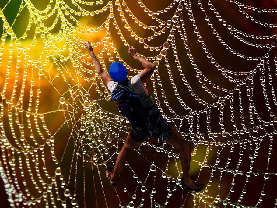 fantasy, cobweb, mountaineer, pattern, beaded, drop of water HD wallpaper