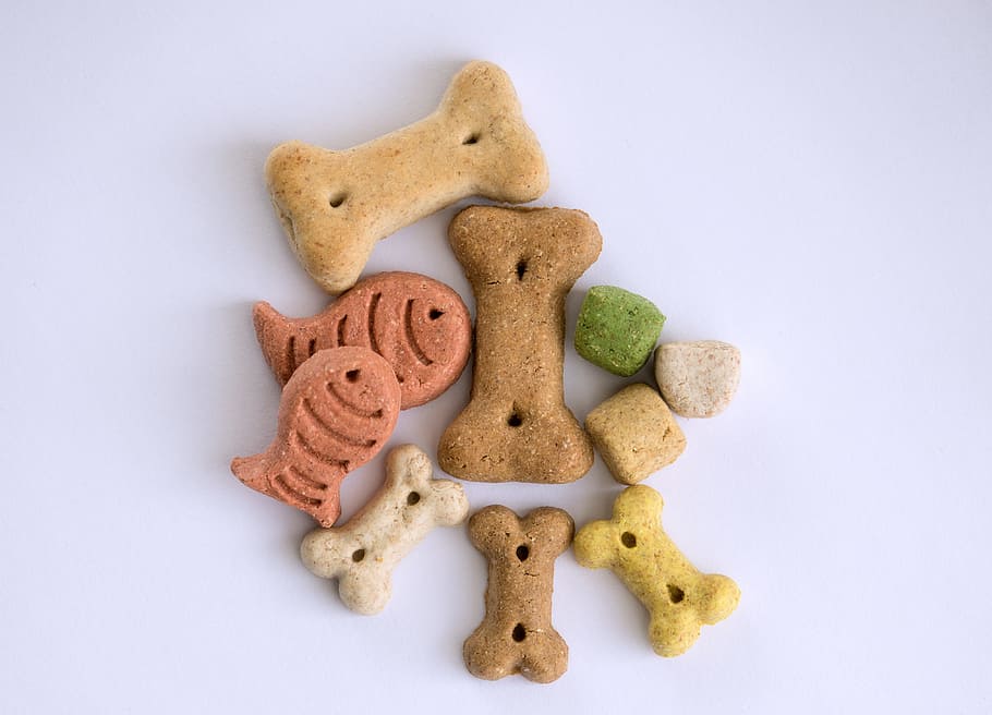 assorted-shape pet treats, dog, bone, dog food, dogs lick us