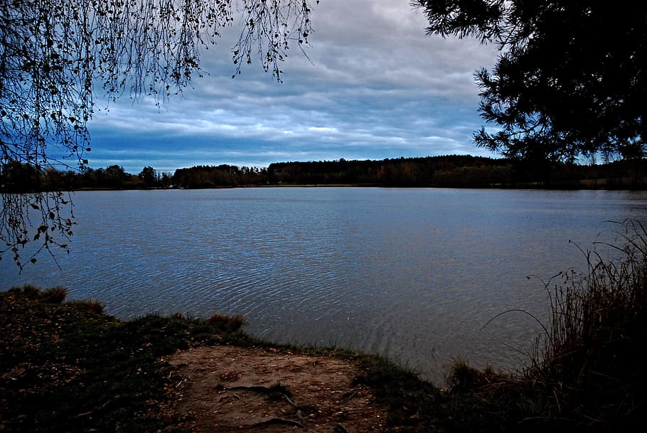sunset, pond, surface, clouds, south bohemia, tree branches HD wallpaper