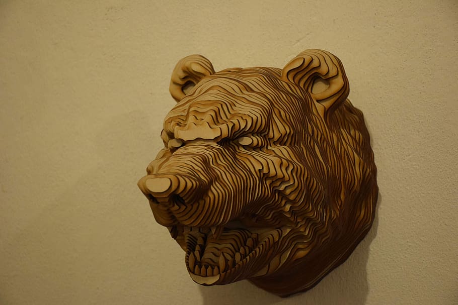 Head, Bear, Tree, Animals, Wall, living nature, contemporary art HD wallpaper