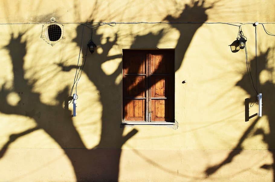 shadow of trees reflecting on beige wall, shadow of withered trees on beige wall HD wallpaper