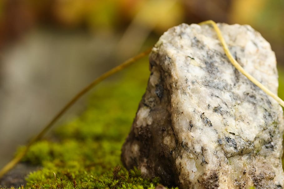 rock, moss, nature, close-up, selective focus, plant, no people HD wallpaper