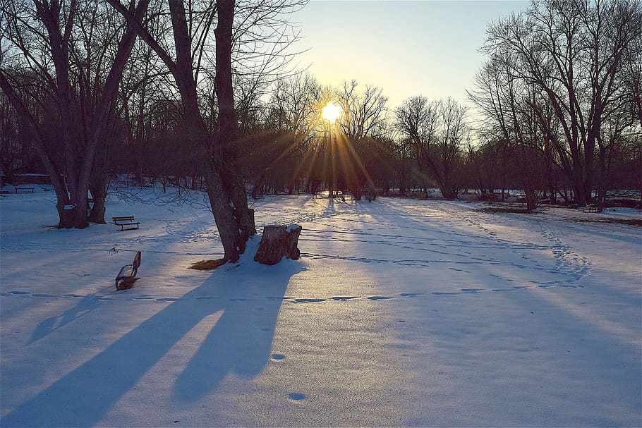 snow, park, sunset, light, shadows, winter, cold, trees, nature HD wallpaper