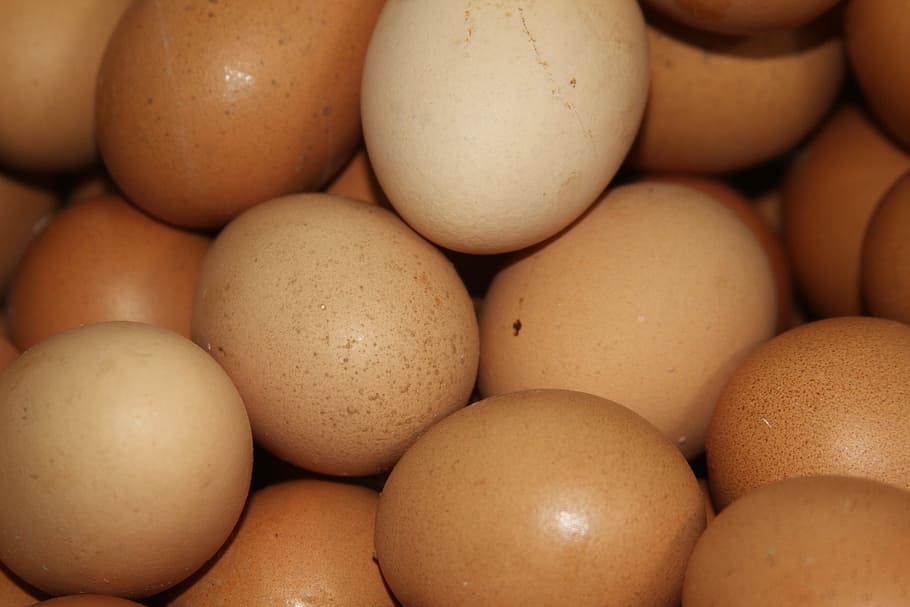 bunch of organic eggs, chicken, food, food and drink, freshness HD wallpaper