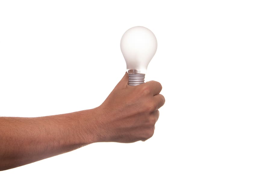 person holding light bulb, lamp, idea, pear, view, thought HD wallpaper