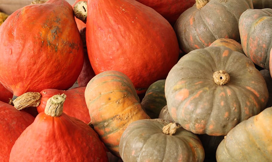 pumpkins, fall, harvest, food and drink, healthy eating, wellbeing HD wallpaper