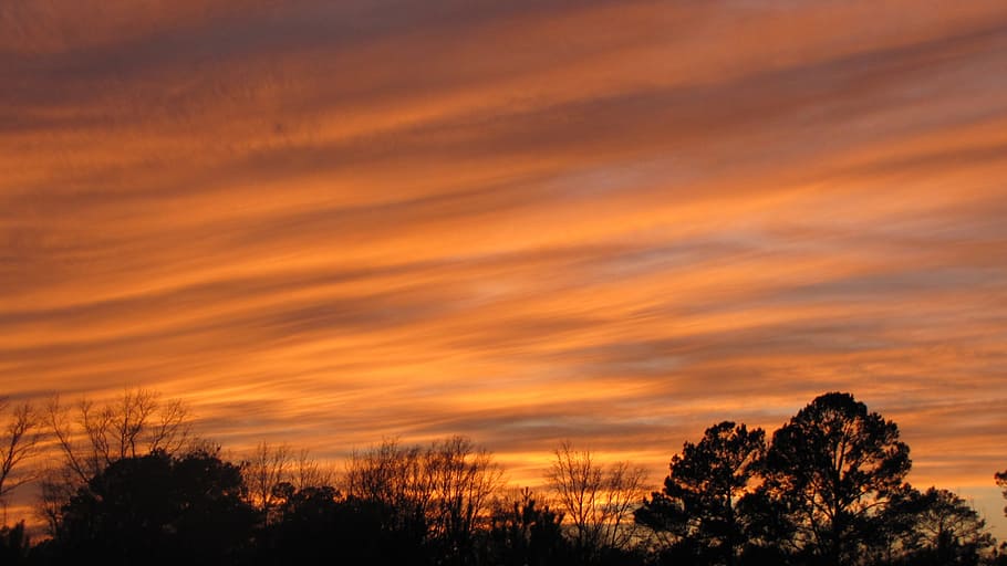 Sunset, Orange, Sky, Sky, Landscape, Sunrise, sunlight, horizon HD wallpaper