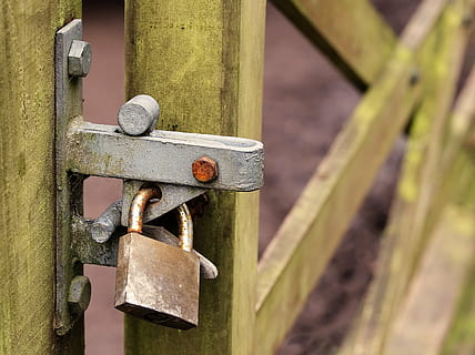 padlock and wooden gate lock, locked, security, closed, secure HD wallpaper