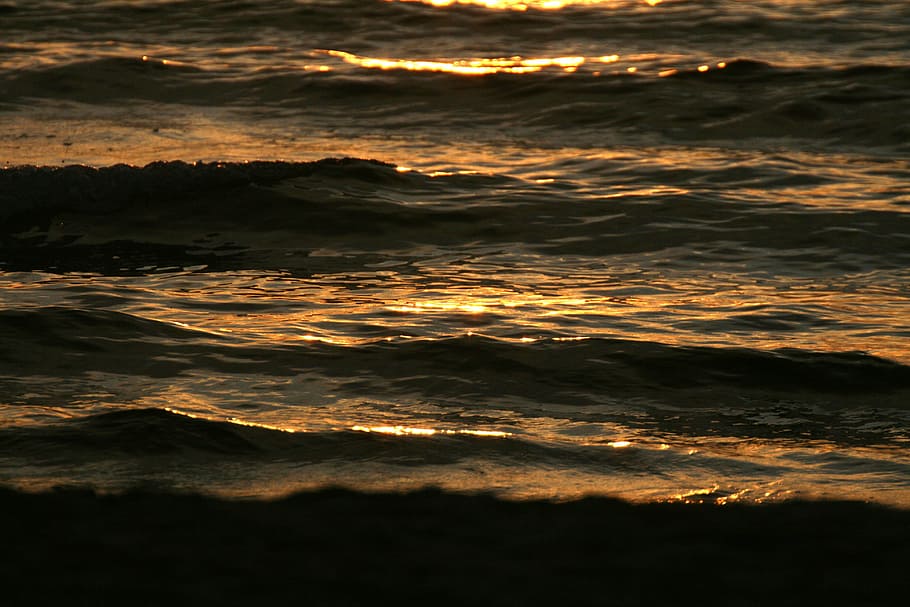 sea, wave, sun, water, surf, baltic sea, beach, coast, sunset HD wallpaper