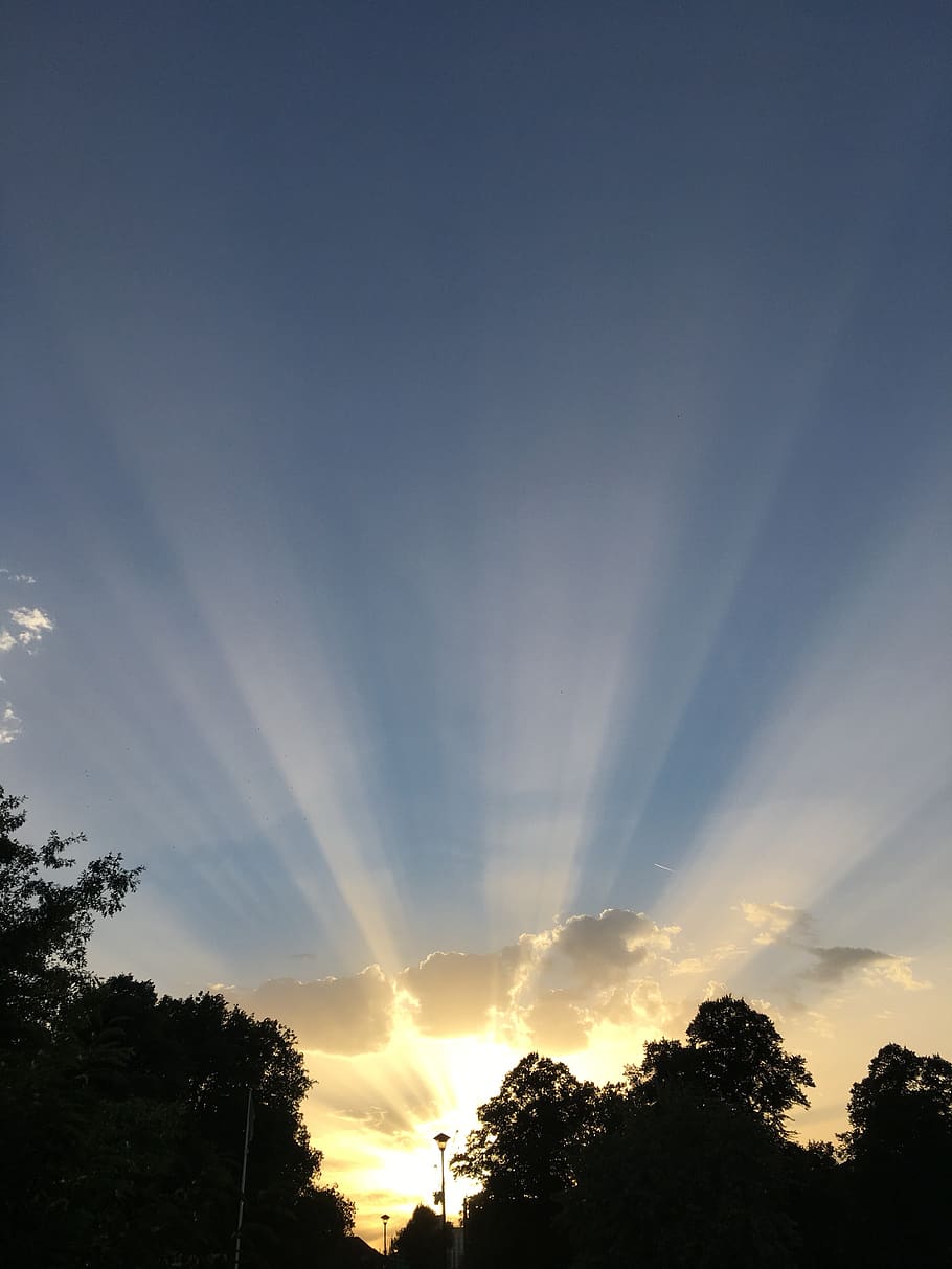 sun, sunshine, sunlight, sunset, sky, tree, beauty in nature HD wallpaper