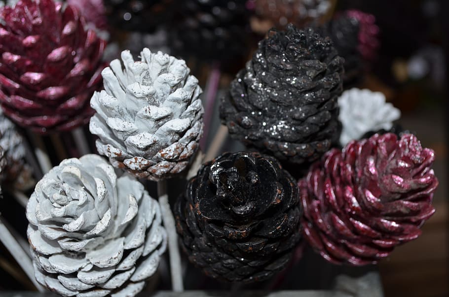 pine cones, pinecones, decorative, decoration, nature, holiday HD wallpaper