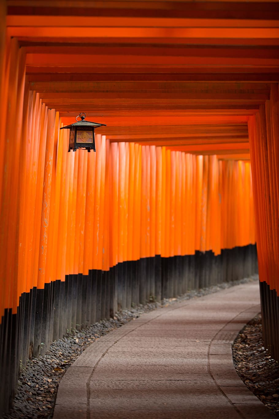 photo of pathway with lantern, architecture, art, color, colour HD wallpaper