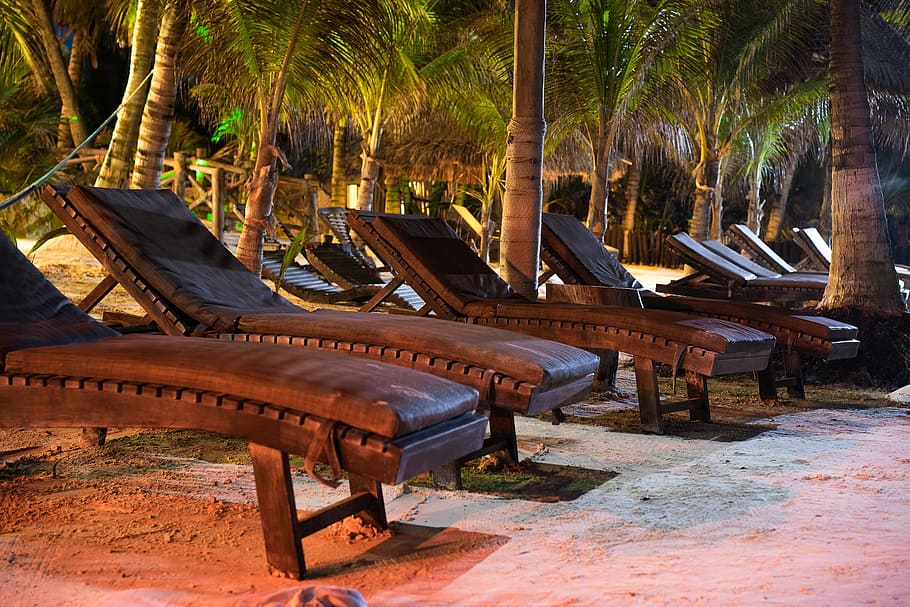 beach, palms, sand, pallet, rickety bed, tree, no people, plant HD wallpaper