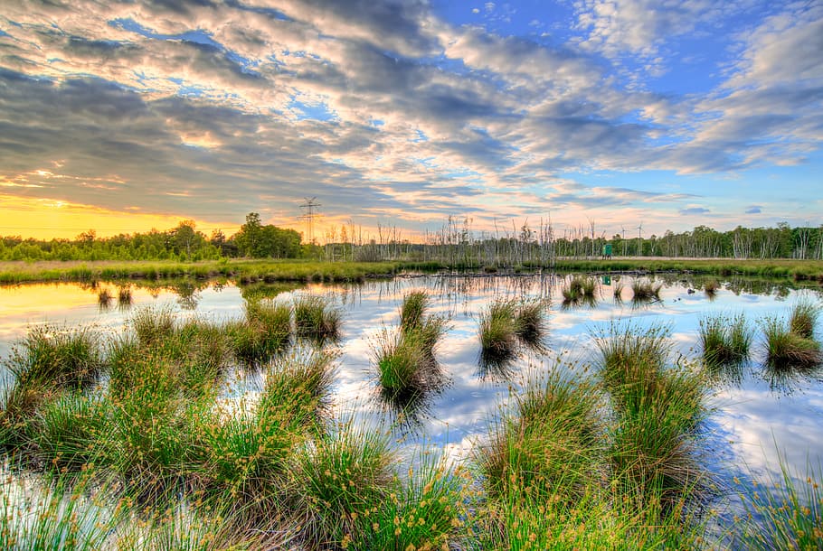 green grass field, Sunset, Colorful, Reflection, Scenic, lake HD wallpaper