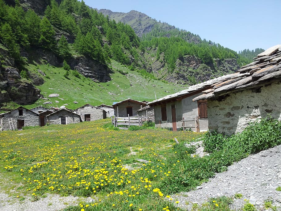 mountain, baita, mountain huts, house, nature, mountains, tranquility HD wallpaper
