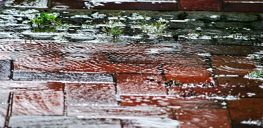rain, water, drip, mirroring, raindrop, wet, day, architecture HD wallpaper