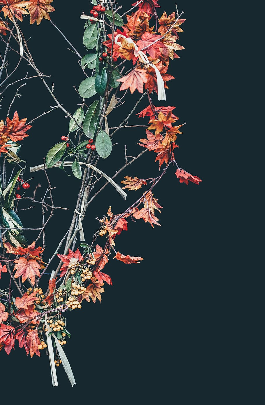 brown and red wreath, green, flower, leaf, fall, autumn, branch HD wallpaper