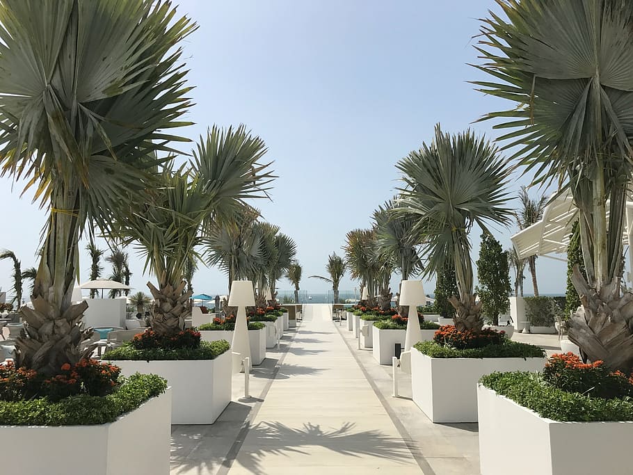 burj al arab, pool, beach, dubai, jumeirah beach, modern, emirates, HD wallpaper