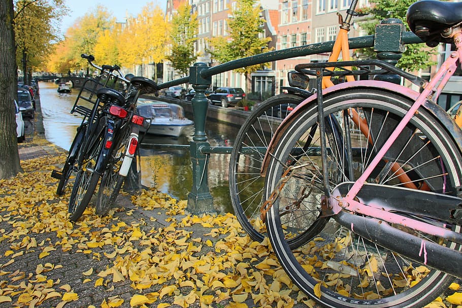 amsterdam, bicycles, channels, autumn, leaves, color, holland HD wallpaper