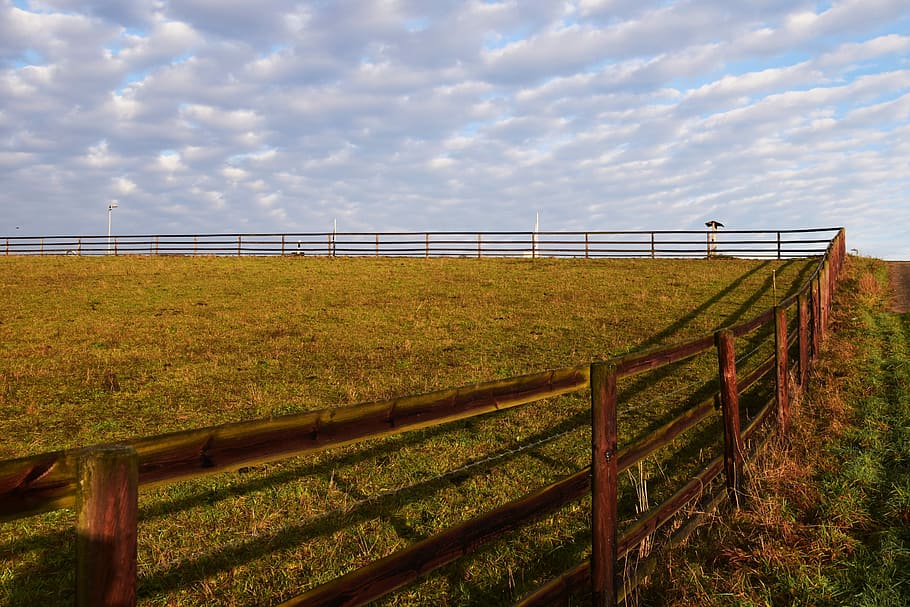Pasture, Background, Nature, Green, grass, meadow, pasture fence HD wallpaper