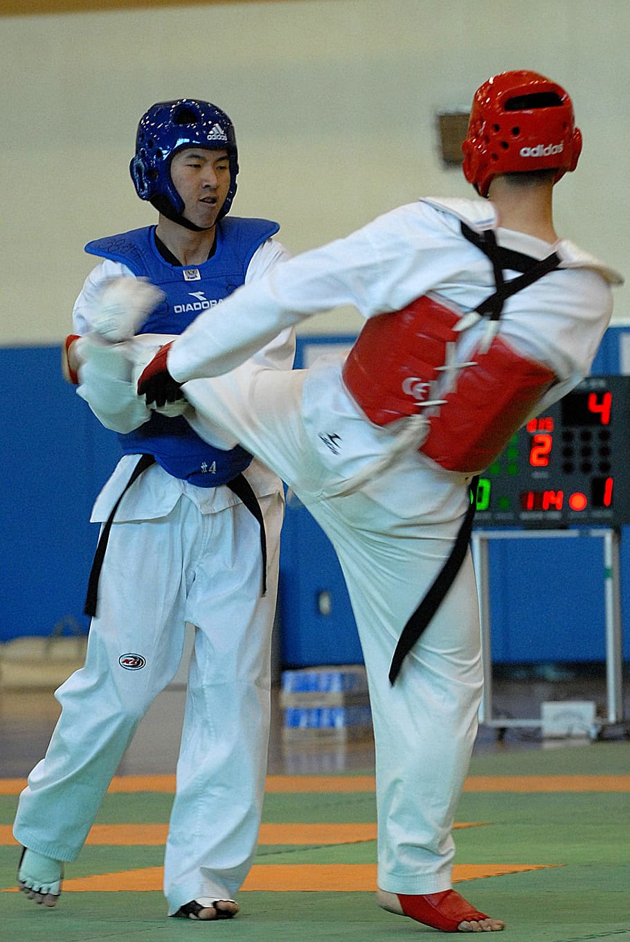two men sparring on orange and green mat, taekwondo, sport, competition