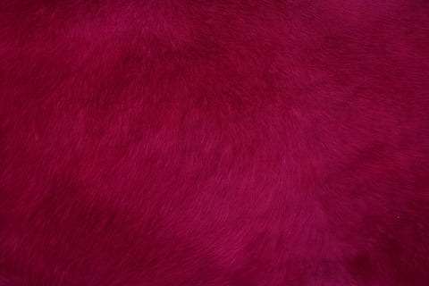 untitled, red, fur, texture, abstract, gradient, backgrounds HD wallpaper