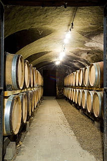 Cellar, Wine, Botti, Botte, wines, barrels, vintage, enoteca HD wallpaper