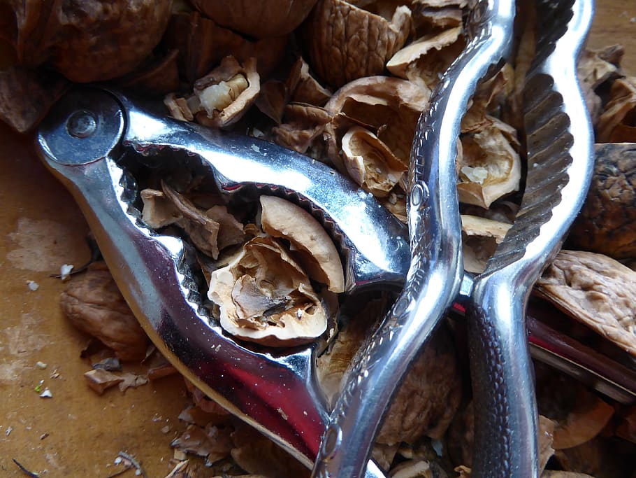 nutshells, nutcracker, walnuts, open, tool, food and drink HD wallpaper