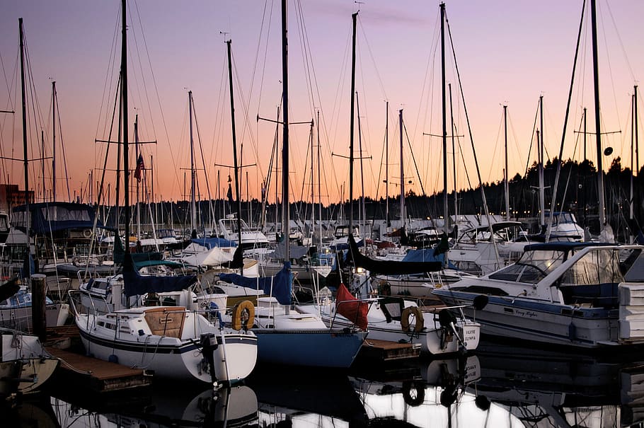 Boats, dawn, dock, docked, dusk, harbor, marina, masts, nautical HD wallpaper
