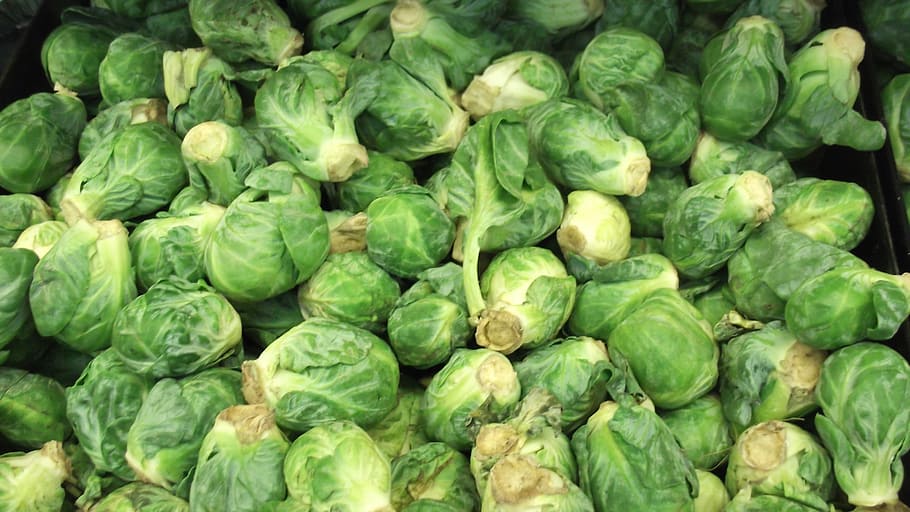 Brussels Sprout, Vegetable, Food, freshness, green Color, organic HD wallpaper