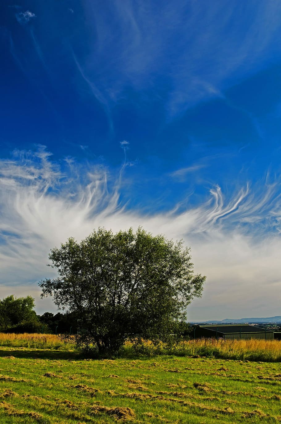Landscape, Background, Seasons, Sky, blue, cloud, clouds, summer HD wallpaper