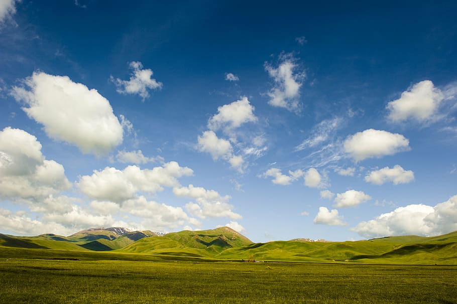 green grass lawn under blue sky, prairie, cloud, landscape HD wallpaper