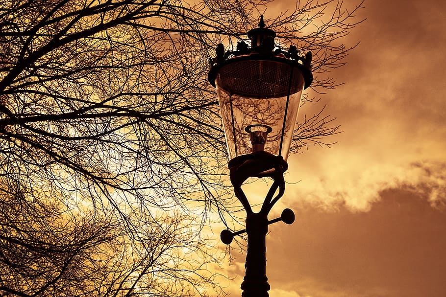 street light post under bare tree, streetlamp, lantern, street lantern, HD wallpaper