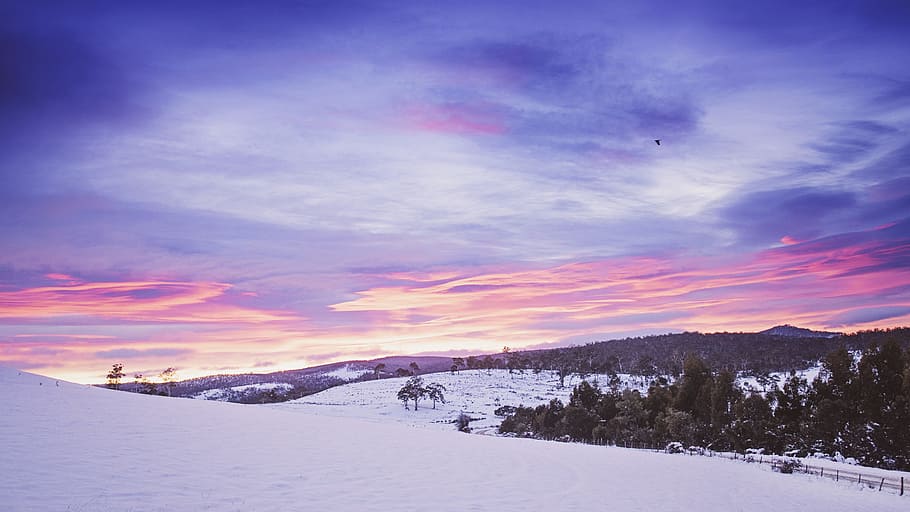 cold, snow, dawn, nature, clouds, dusk, forest, zing, frost, frosty HD wallpaper