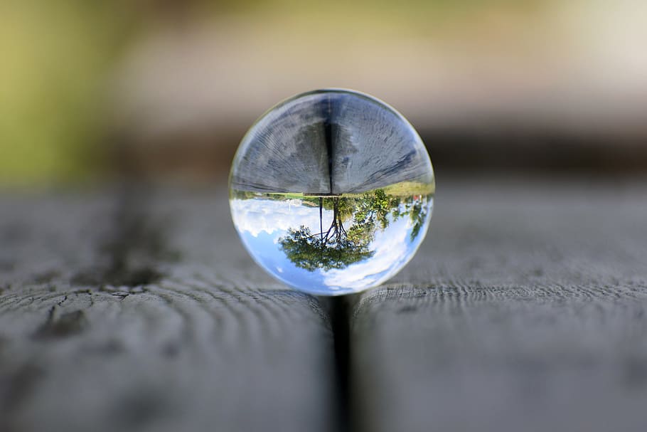 water droplet reflecting tree in macro shot, natural, landscape