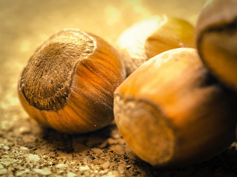close-up photography of brown walnuts, hazelnuts, nutshells, food