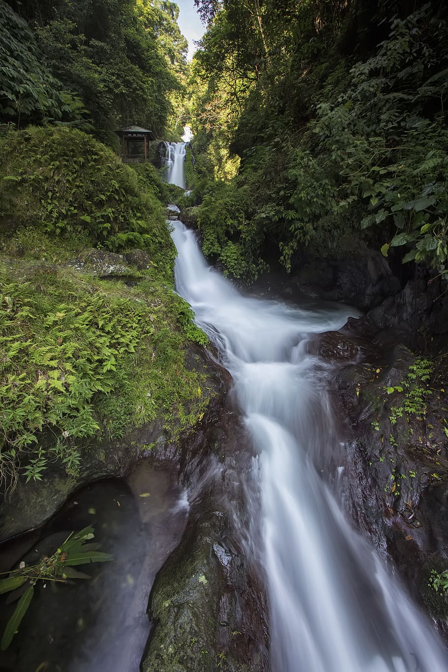 falls, nature, water, river, rock, landscape, trees, attraction HD wallpaper