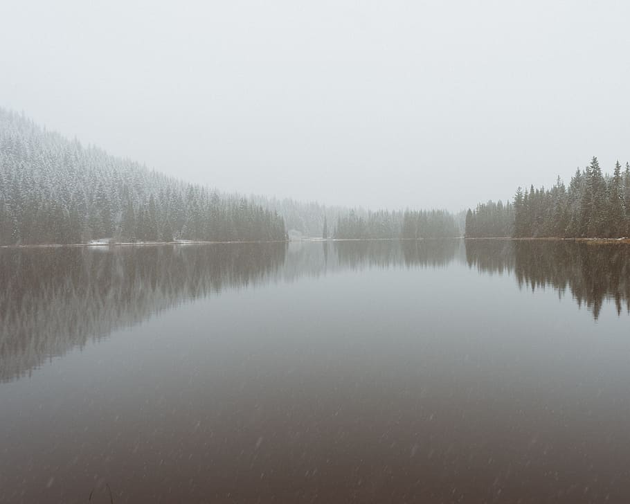 lake, water, tree, plant, nature, forest, reflection, mountain HD wallpaper