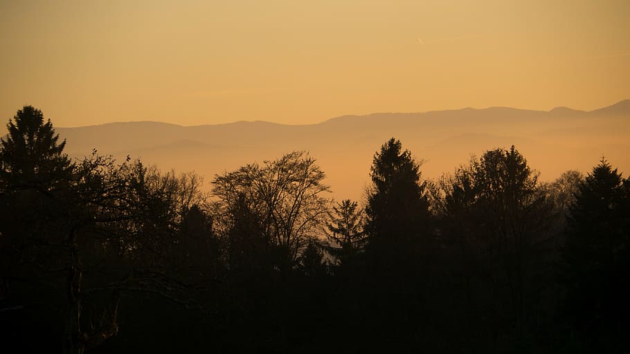 trees, nature, landscape, mountains, autumn, abendstimmung HD wallpaper