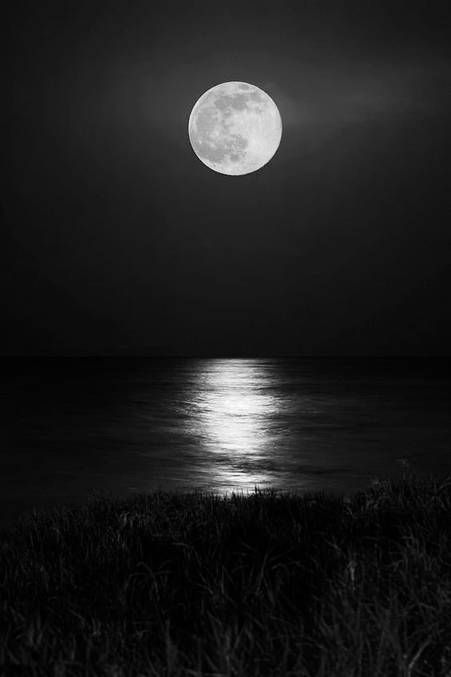 moon, and, river 2, sky, night, scenics - nature, full moon HD wallpaper