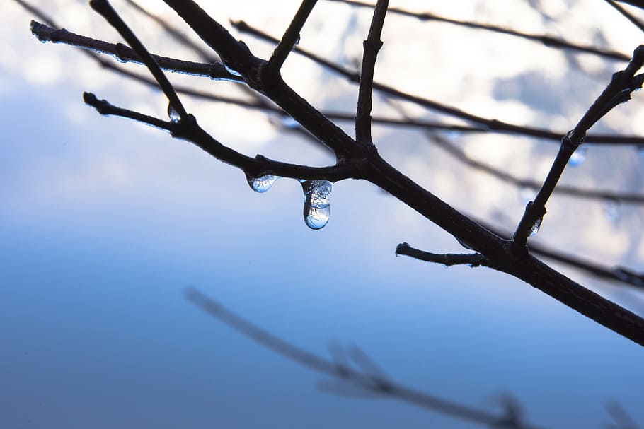 ice, eistropfen, drip, frozen, drop of water, mirroring, reflection HD wallpaper