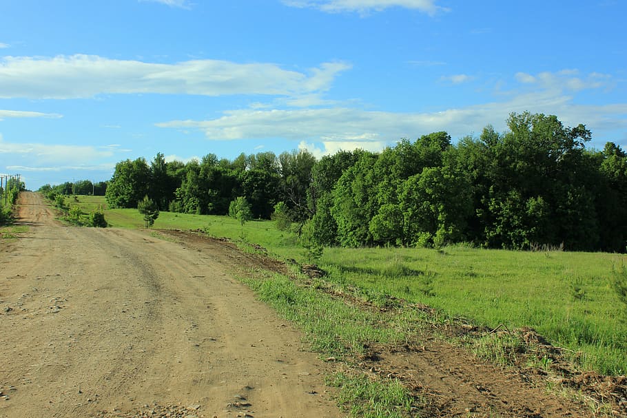 russia, road, tree, tatarstan, summer, sky, into the distance HD wallpaper