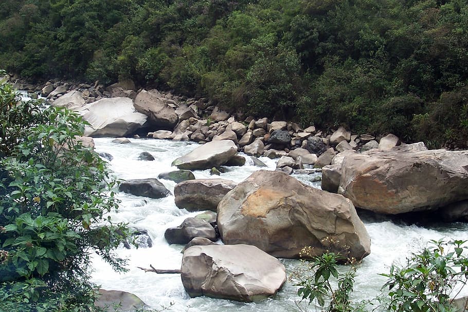 rocks, water, stream, river, creek, flow, motion, plant, solid HD wallpaper