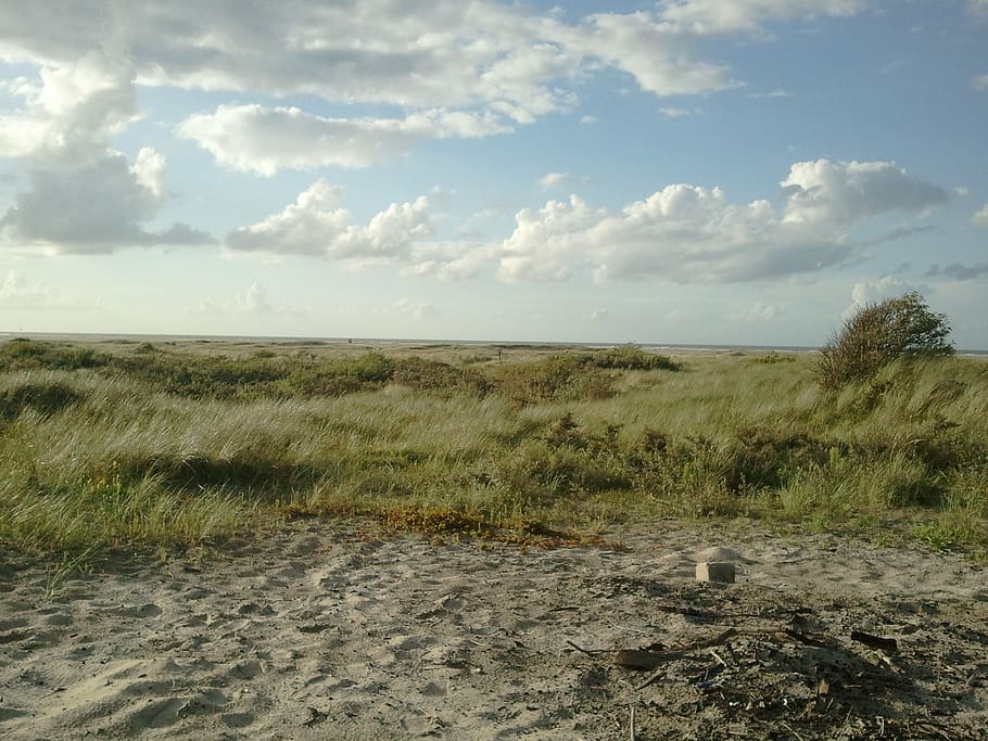 sand, sky, clouds, nature, dunes, grass, outdoors, cloud - sky HD wallpaper
