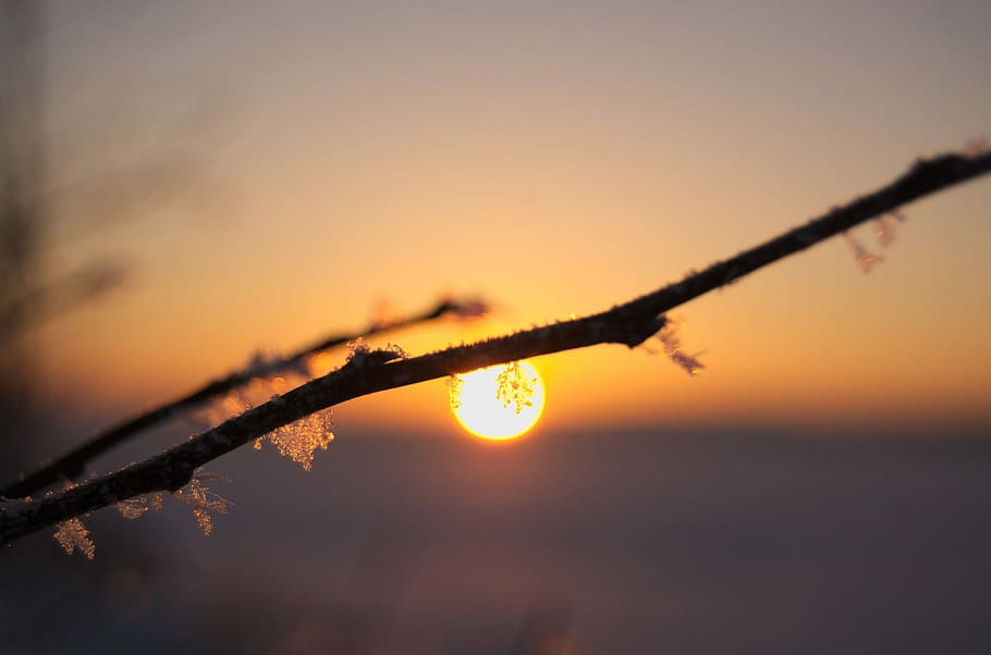 sunset, sky, nature, twilight, winter, snowflake, silhouette HD wallpaper