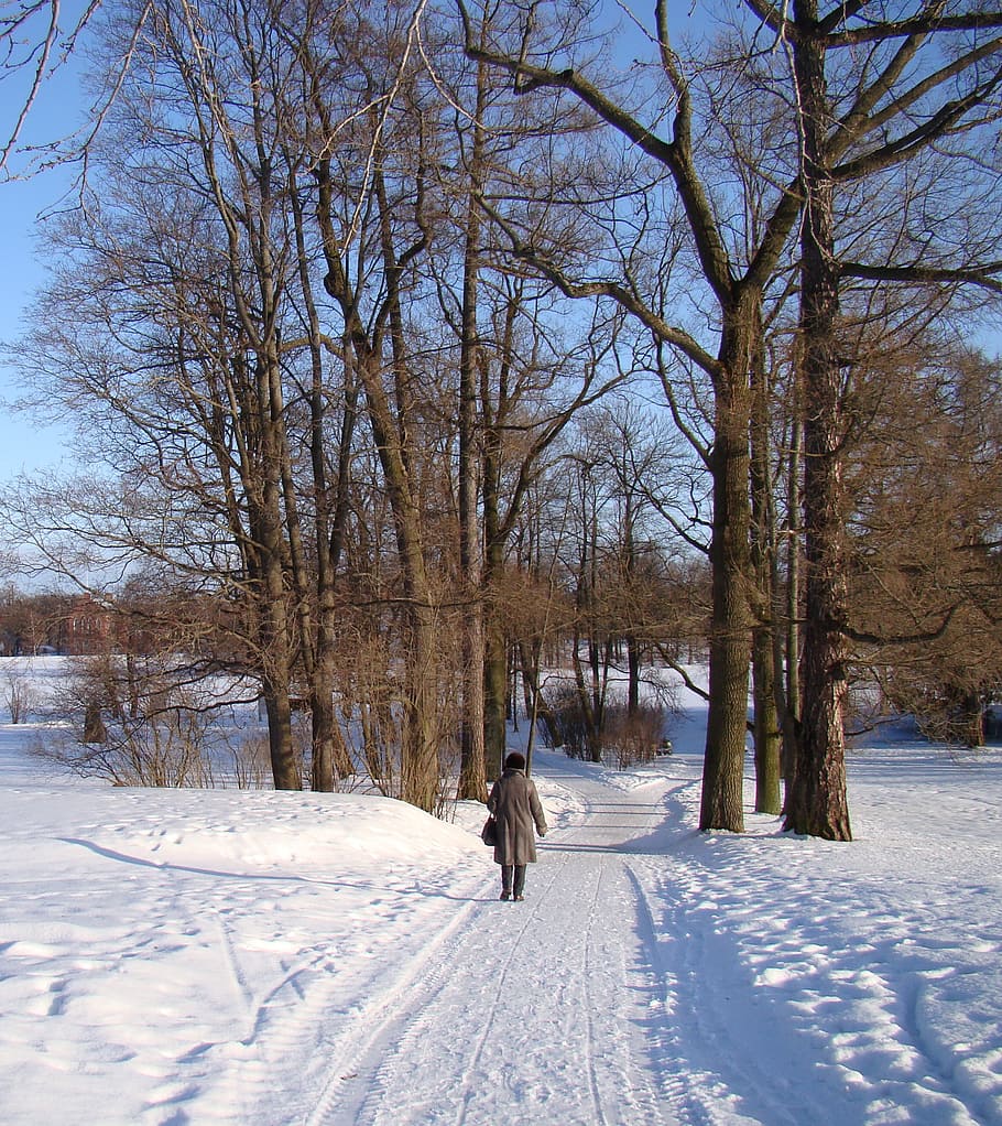 winter, snow, trees, road, sun, shadow, nature, outdoors, people HD wallpaper