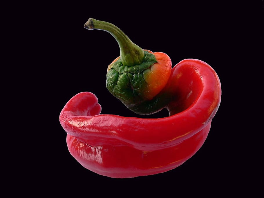 Pepper, Vegetable, Fresh, Healthy, organic, kitchen, diet, meal HD wallpaper