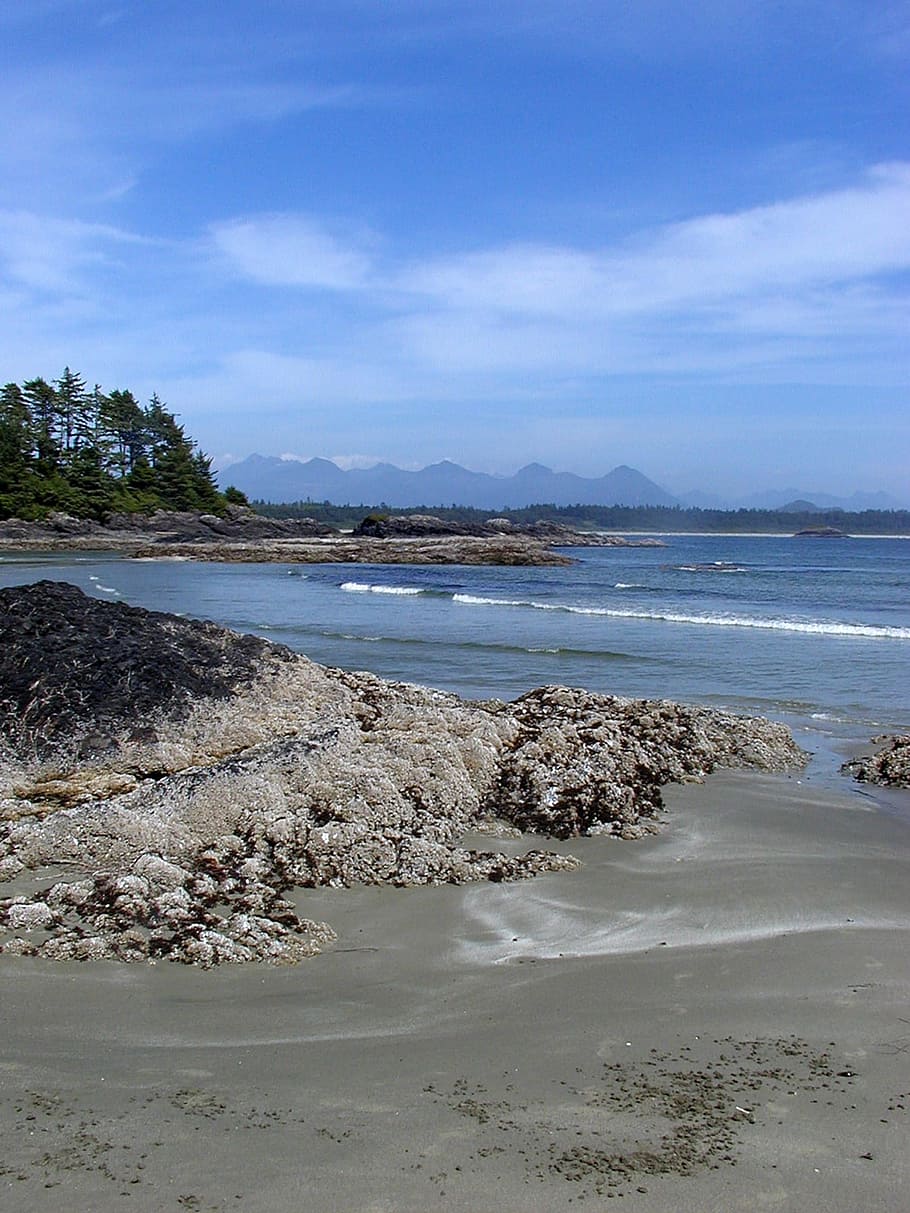 Vancouver Island, British Columbia, canada, tofino, long beach