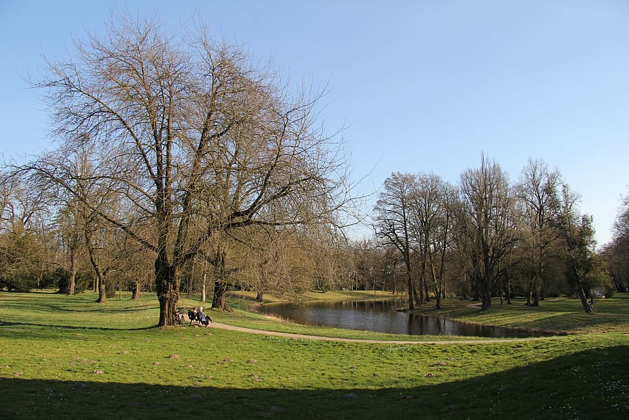 park, bench, lake, spring, nature, tree, plant, bare tree, sky HD wallpaper