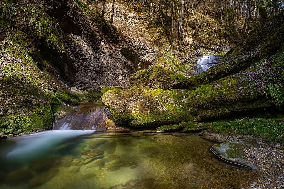 calm body of water surrounded by green moss, nature, waters HD wallpaper